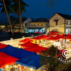 Tente Pliante FleXtents Xtreme 60 3x3m Bleu -Promos Jardin Natif Magasin ft04268 83