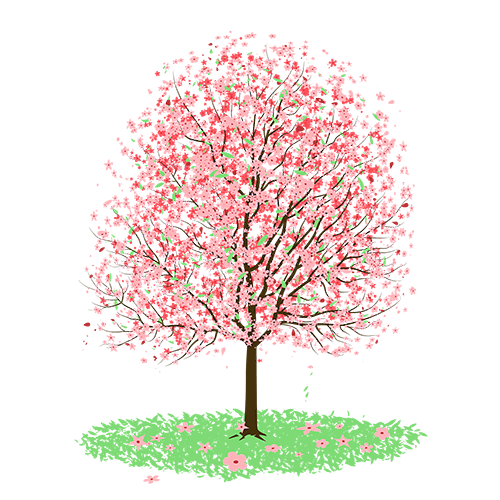 Promos Jardin Natif Magasin